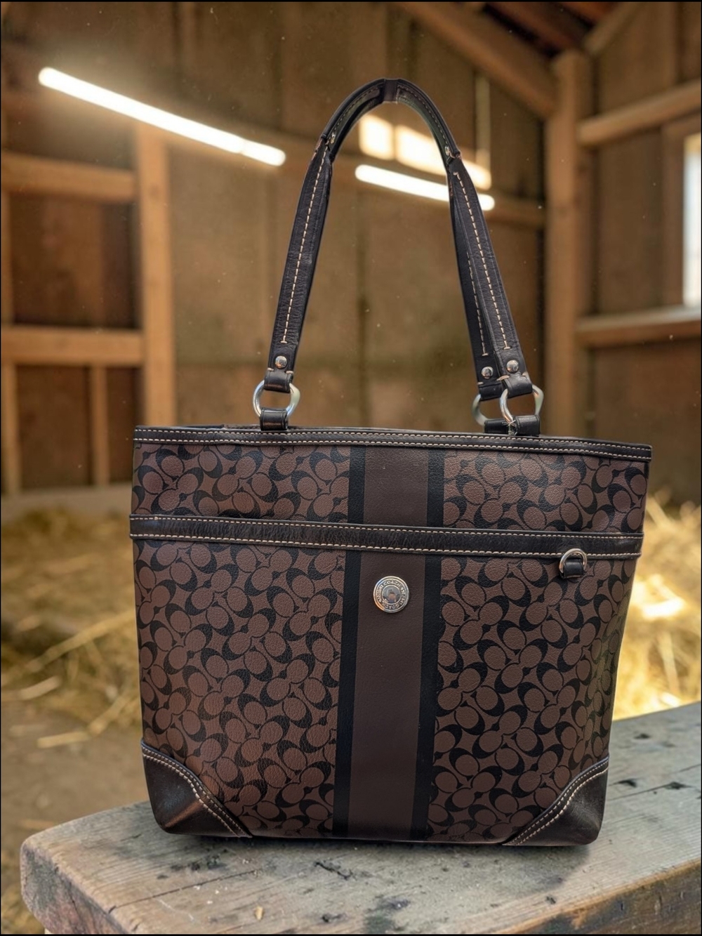 Coach Chelsea Heritage Stripe Brown Tote in Signature C (F15137)